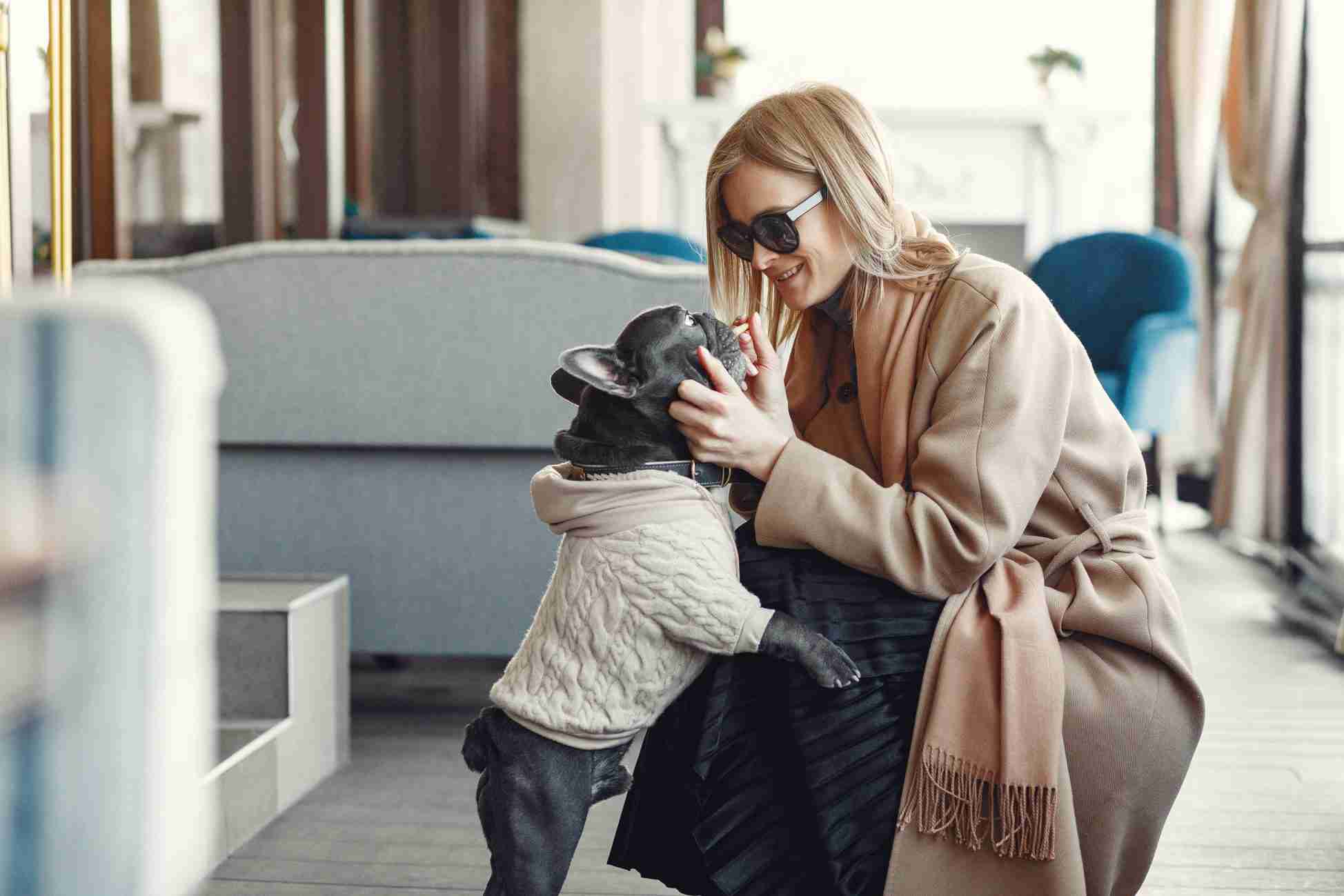 Woman with dog. Lady in a brown coat. Girl play with bulldog. Woman in a cafe.